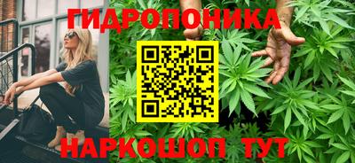 apvp Партизанск