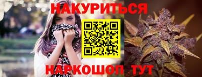 apvp Партизанск
