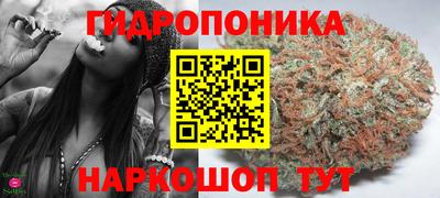 apvp Партизанск