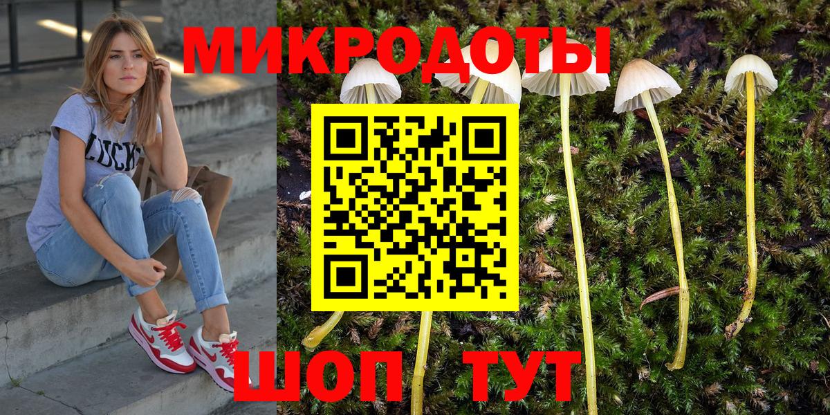 Галлюциногенные грибы Cubensis Уссурийск