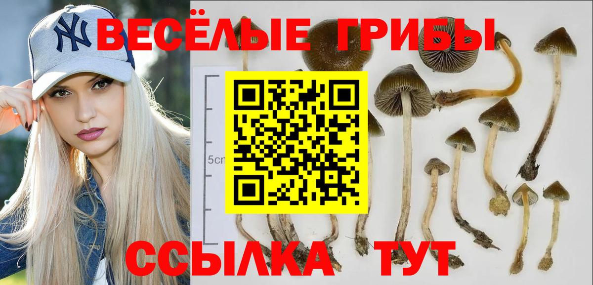 Галлюциногенные грибы прущие грибы  Псилоцибиновые грибы Magic Shrooms  Уссурийск  Вход с VPN 